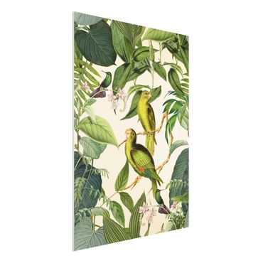 Print on forex - Vintage Collage - Parrots In The Jungle