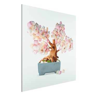 Print on aluminium - Bonsai With Marshmallows