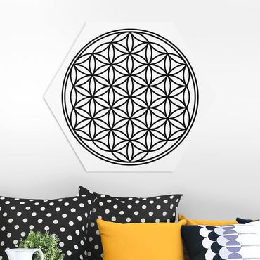 Forex hexagon - Flower of Life