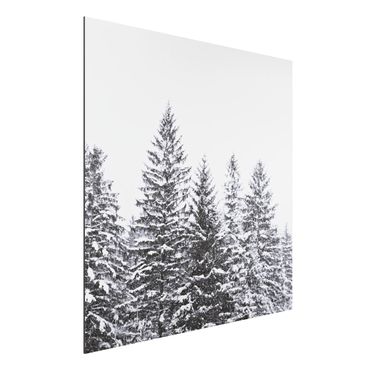 Print on aluminium - Dark Winter Landscape