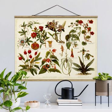 Fabric print with poster hangers - Vintage Board Tropical Botany II