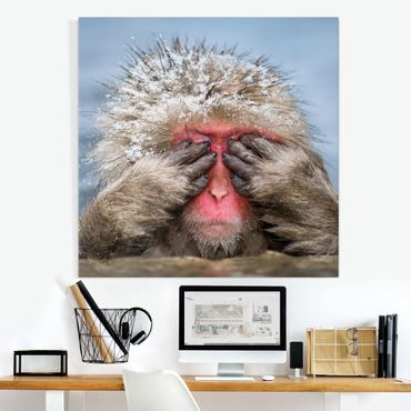 Print on canvas - Japanese Macaque