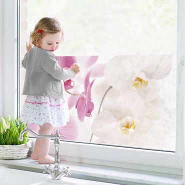 Window decoration - Delicate Orchids