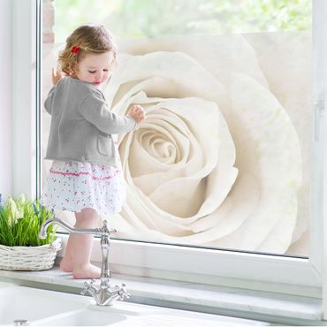 Window decoration - Pretty White Rose