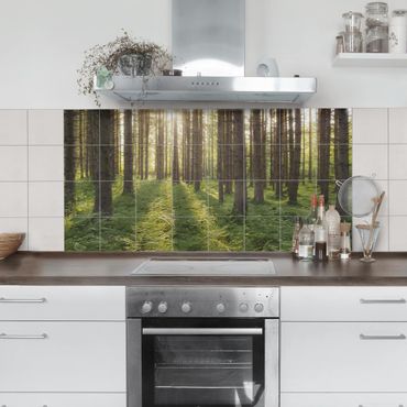 Tile sticker - Sunrays in the green forest