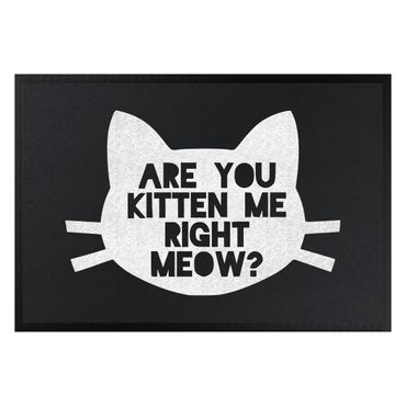 Doormat - Are You Kitten Me