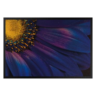 Doormat - Blue Gerbera Flower