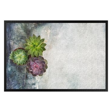 Doormat - Three succulents