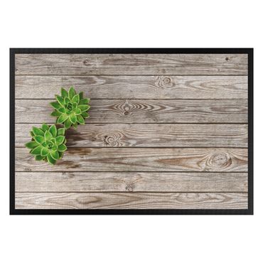 Doormat - Succulent Plant