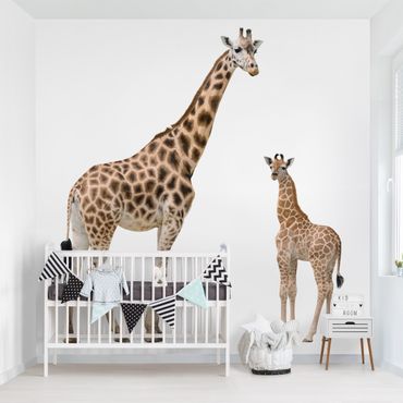 Wallpaper - Giraffe Mother And Child