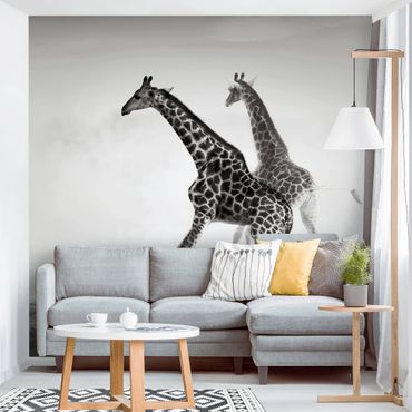Wallpaper - Giraffe Hunt