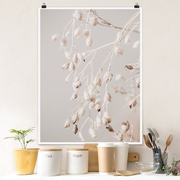 Poster - Hanging Dried Buds