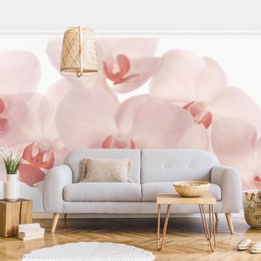Wallpaper - Bright Orchid Flower Wallpaper - Svelte Orchids