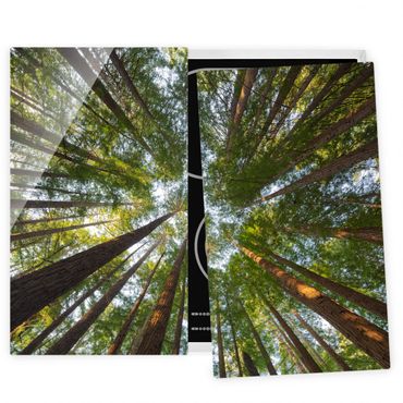 Glass stove top cover - Sequoia Tree Tops