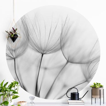 Self-adhesive round wallpaper - Inside A Dandelion Black And White