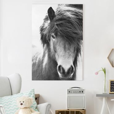 Canvas print - Icelandic Horse In Black And White