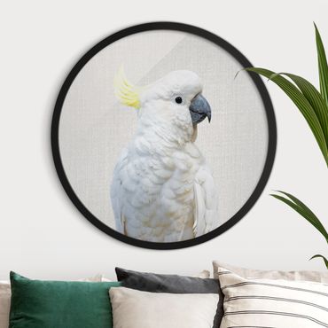 Circular framed print - Cockatoo Kiki