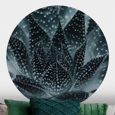 Self-adhesive round wallpaper - Cactus Drizzled With Starlight At Night