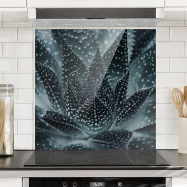 Splashback - Cactus Drizzled With Starlight At Night - Square 1:1