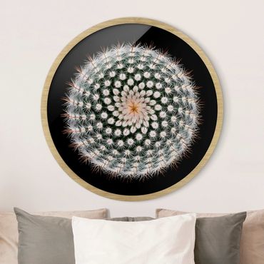 Circular framed print - Cactus Flower