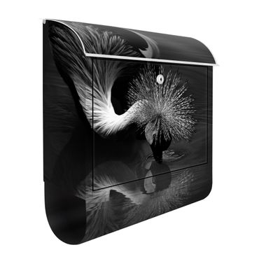 Letterbox - Crowned Crane Bow Black And White