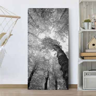 Print on canvas - Trees Of Life II