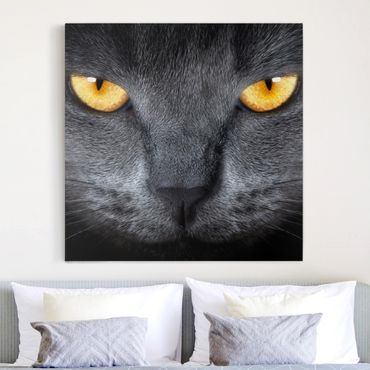Print on canvas - Cat's Gaze