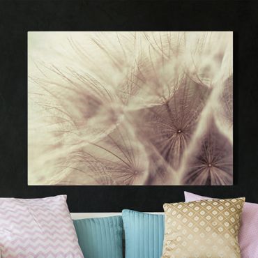 Print on canvas - Detailed Dandelion Macro Shot With Vintage Blur Effect