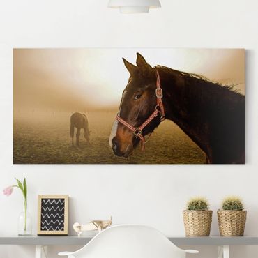 Print on canvas - Early Horse