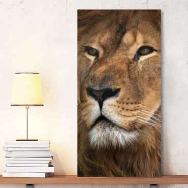 Print on canvas - Lion's Gaze