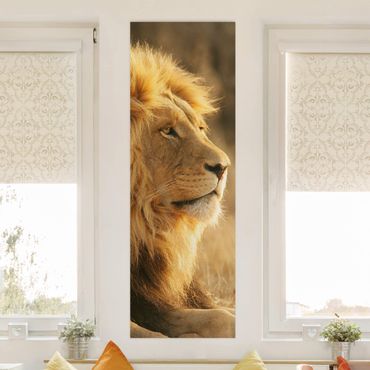 Print on canvas - King Lion