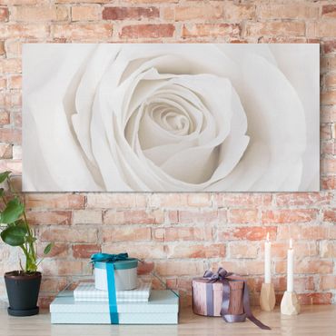 Print on canvas - Pretty White Rose