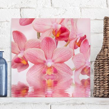 Print on canvas - Light Pink Orchid On Water