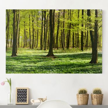 Print on canvas - Forest Meadow