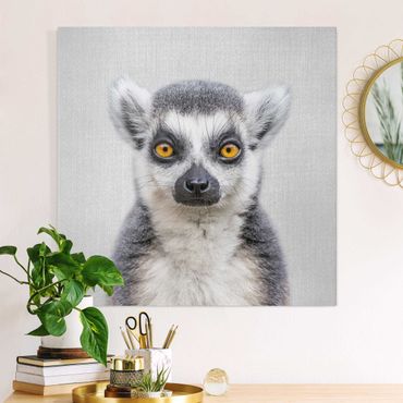 Canvas print - Lemur Ludwig - Square 1:1