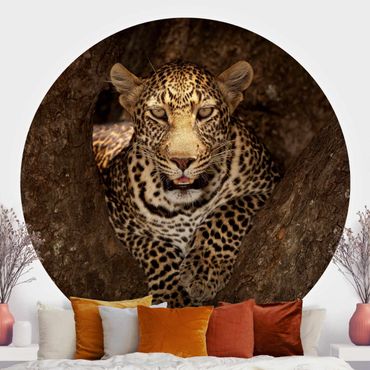 Self-adhesive round wallpaper - Leopard Resting On A Tree