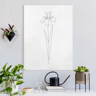 Canvas print - Line Art Flowers - Iris - Portrait format 3:4