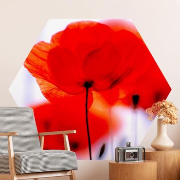 Self-adhesive hexagonal pattern wallpaper - Magic Poppies