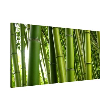 Magnetic memo board - Bamboo Trees
