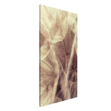 Magnetic memo board - Detailed Dandelion Macro Shot With Vintage Blur Effect