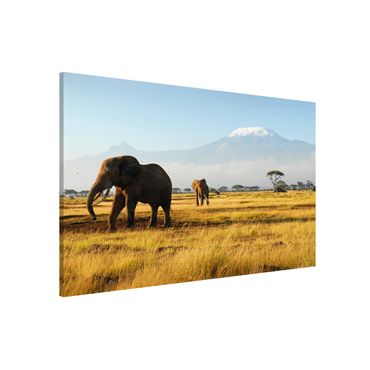 Magnetic memo board - Elephants In Front Of The Kilimanjaro In Kenya