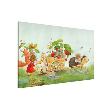 Magnetic memo board - Little Strawberry Strawberry Fairy - With Hedgehog