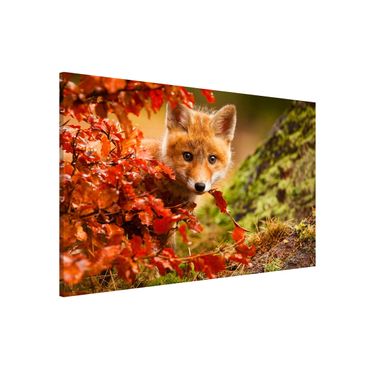 Magnetic memo board - Fox In Autumn