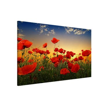 Magnetic memo board - Poppy Field In Sunset