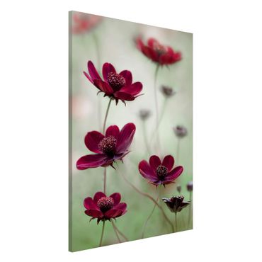 Magnetic memo board - Pink Cosmos Flower