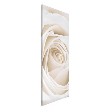 Magnetic memo board - Pretty White Rose