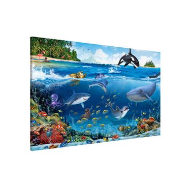 Magnetic memo board - Animal Club International - Underwater World With Animals