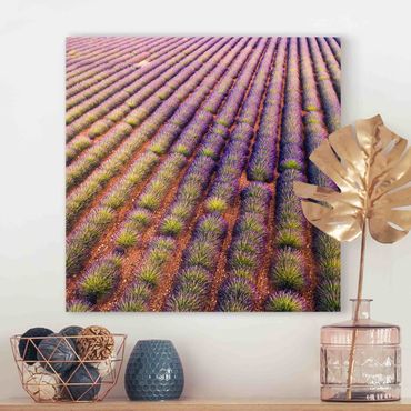 Print on canvas - Picturesque Lavender Field
