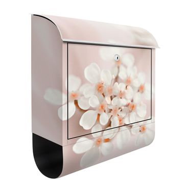 Letterbox - Mini Flowers In Pink Light