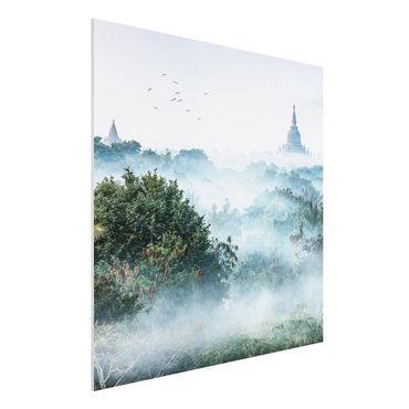 Print on forex - Morning Fog Over The Jungle Of Bagan - Square 1:1